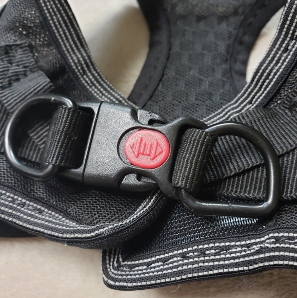 BAYDOG HARNESS🐶 - Picture 5 of 7